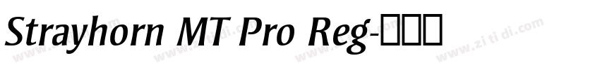 Strayhorn MT Pro Reg字体转换